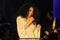 DSC_2644.jpg (87,542 bytes)