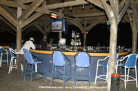 DSC_1333.jpg (74,838 bytes)