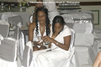 DSC_0501.jpg (45,944 bytes)