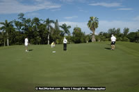 DSC_1645.jpg (45,224 bytes)