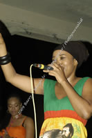 DSC_3124.jpg (91,665 bytes)