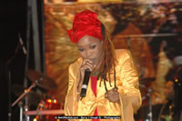 DSC_8105.jpg (58,985 bytes)