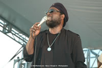 DSC_8670.jpg (35,319 bytes)