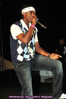 DSC_3935.jpg (68,838 bytes)